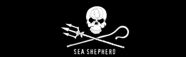 Sea Shepherd et Paul Watson – Comment ? Pourquoi ?