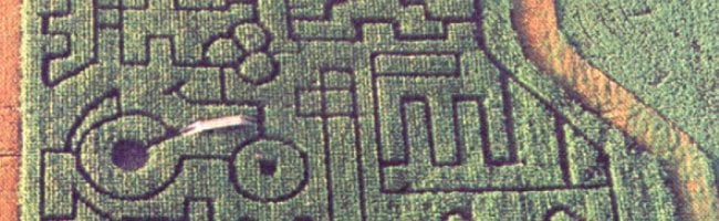 Vue satellite d'un labyrinthe en maïs dans l'Iowa