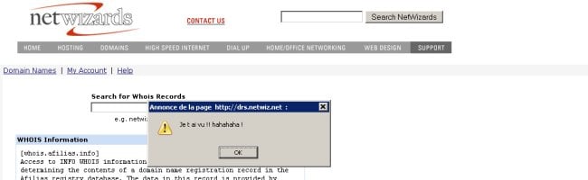 Capture d'écran du formulaire de saisie d'un nom de domaine