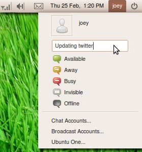 Capture d'écran de l'interface utilisateur d'Ubuntu 10.04 Lucid Lynx