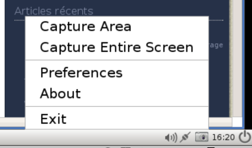 Interface de Lookit pour envoyer des captures d'écran