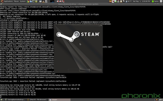 Capture d'écran de Steam sous Linux
