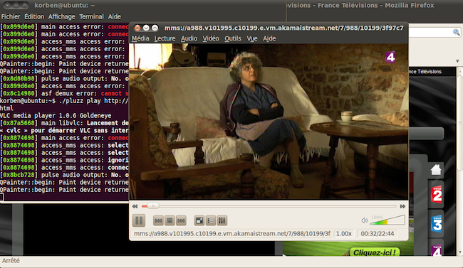 Capture d'écran de l'interface Pluzz sur Linux