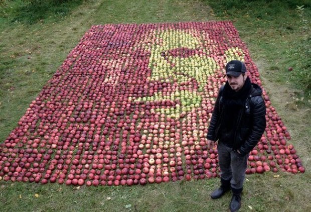 Cueillette de pommes dans un verger