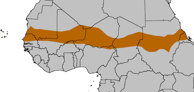 Carte du Sahel montrant les zones d'intervention des organisations humanitaires