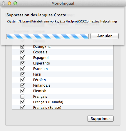 Monolingual - libérez de l'espace sur votre Mac en supprimant les langues inutiles