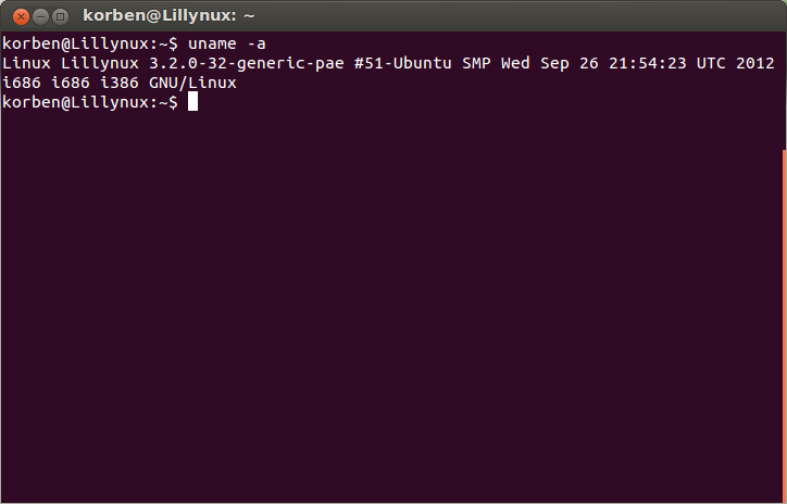 Capture d'écran montrant la commande pour connaître la version du noyau sur Ubuntu
