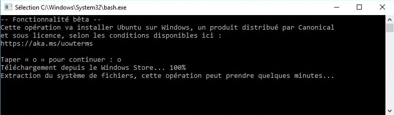 Capture d'écran de l'exécution d'un script Bash sur Windows 10