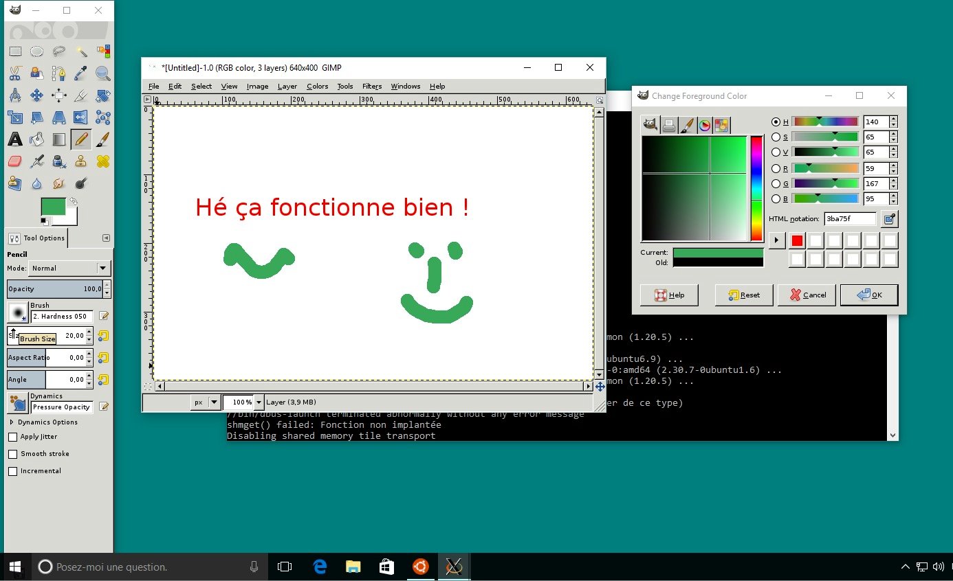 Capture d'écran de l'installation du shell Bash sur Windows 10