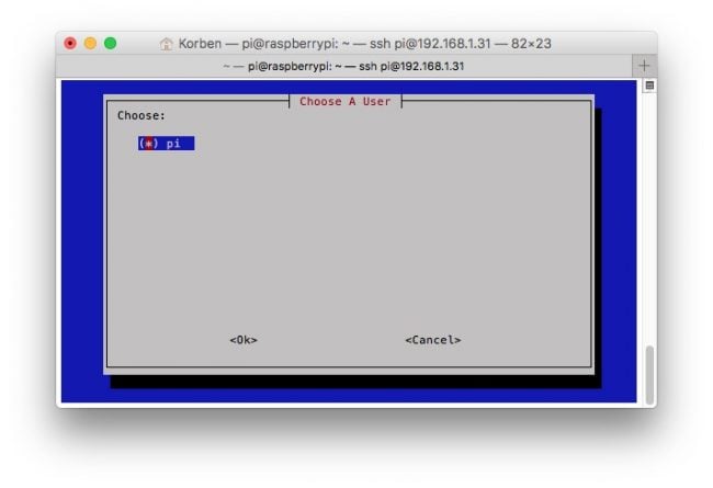 Capture d'écran de la configuration du DNS de PiVPN