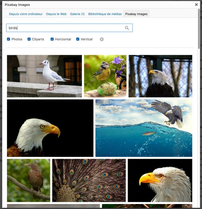Recherche d'images gratuites pour votre site avec un plugin WordPress