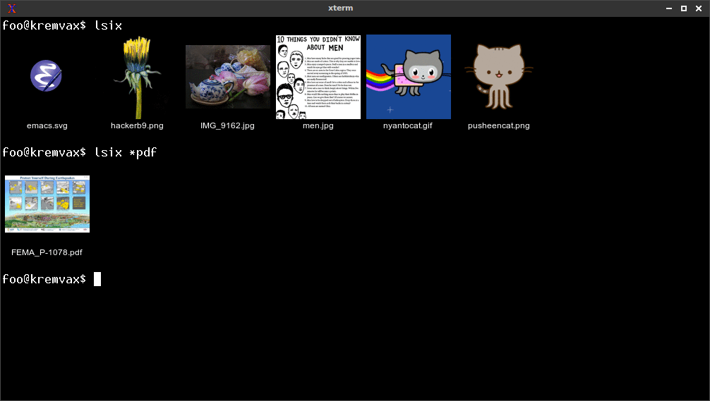 Capture d'écran de la commande lsix affichant des images sous forme de vignettes dans un terminal