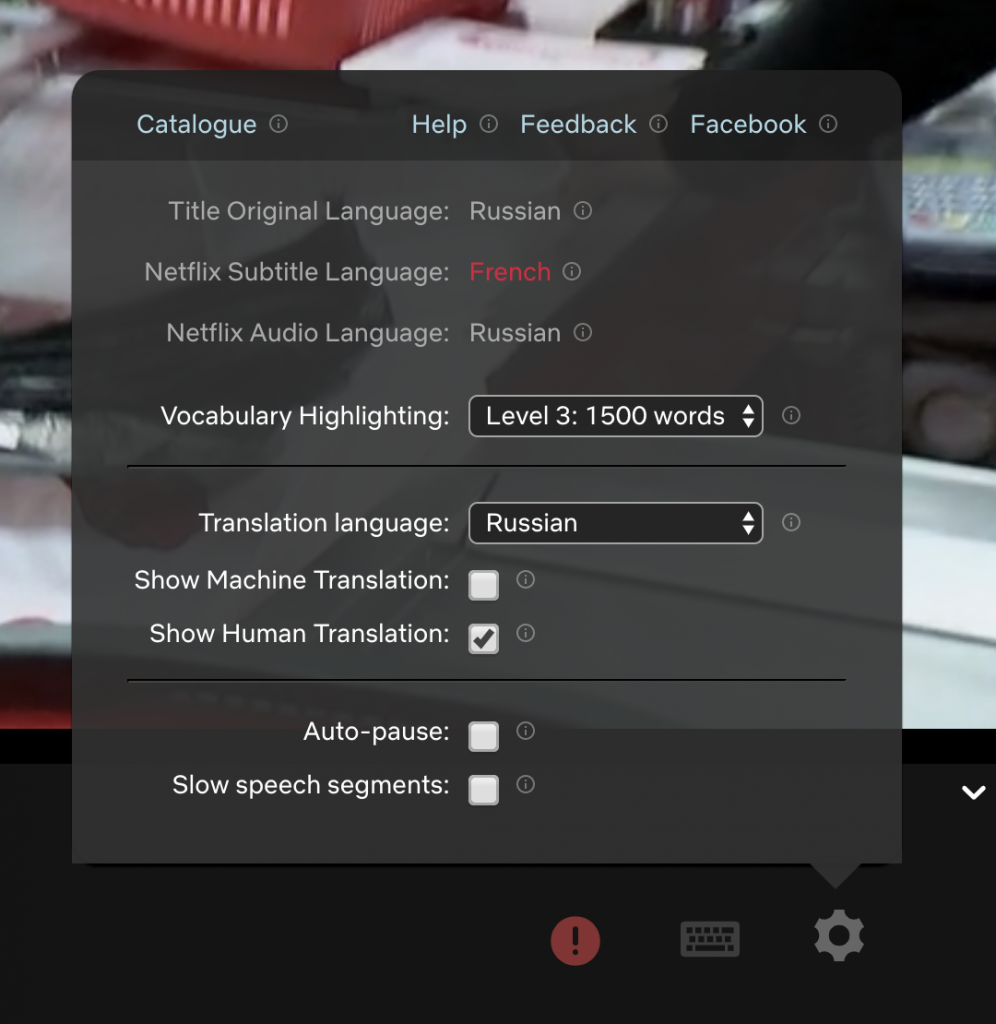 Image d'une personne utilisant un ordinateur pour apprendre une nouvelle langue avec Netflix