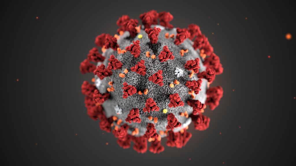 Visualisation en 3D du SARS-Cov2