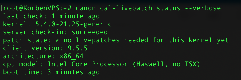 Capture d'écran du terminal Ubuntu montrant les commandes pour activer Live Patching