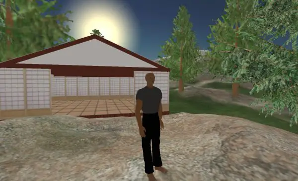 Capture d'écran d'un avatar en train d'explorer un monde virtuel en 3D
