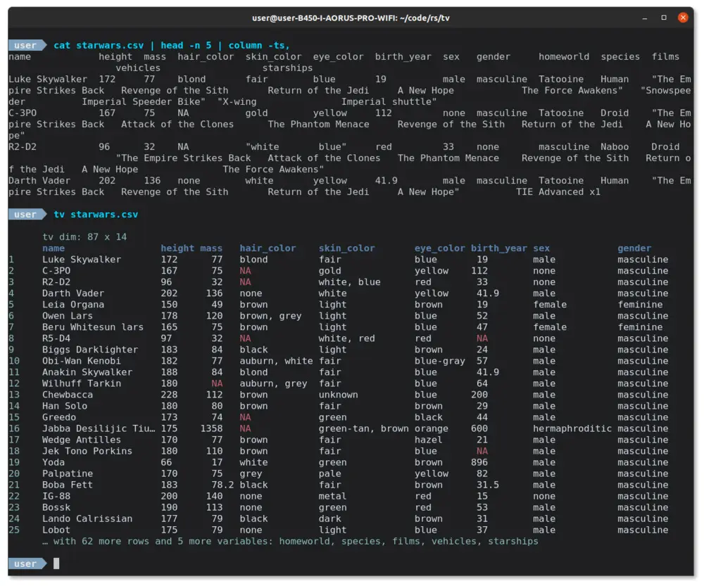 Capture d'écran d'un terminal affichant un fichier CSV