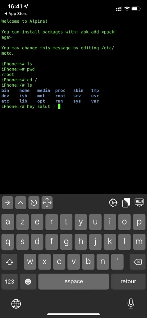 Capture d'écran du terminal iOS avec un shell Linux en cours d'exécution