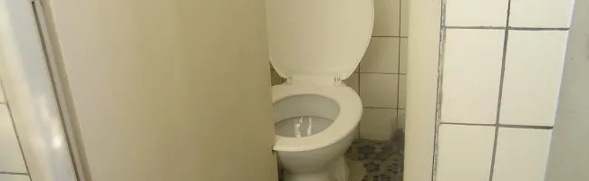 Homme utilisant son smartphone sur les toilettes