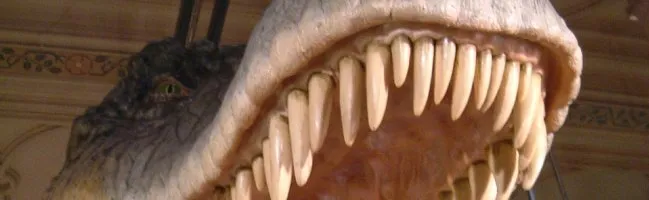 Fossile de T-Rex découvert dans le Montana