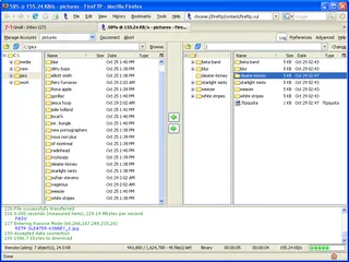 Capture d'écran du logiciel WinSCP pour transférer des fichiers FTP