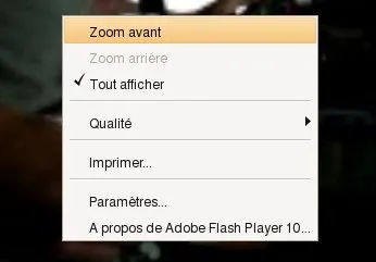 Capture d'écran montrant le message d'erreur de Firefox causé par le bug de Flash Player 10 RC sous Linux