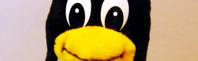 Peluche Tux, la mascotte de Linux, en vente sur notre boutique en ligne