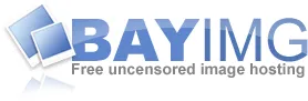Logo de PirateBay pour BayImg