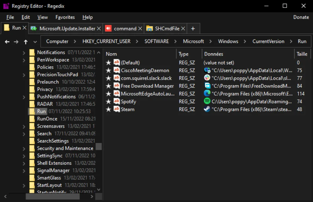 Capture d'écran de l'interface de Regedix, montrant les modifications apportées à la base de registres de Windows